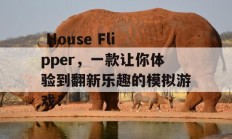  House Flipper，一款让你体验到翻新乐趣的模拟游戏！